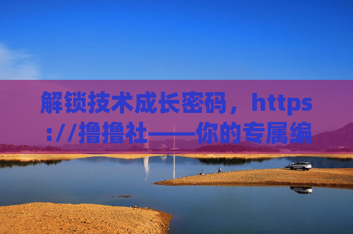 解锁技术成长密码，https://撸撸社——你的专属编程交流与学习社区，解锁技术成长密码，撸撸社——你的专属编程交流与学习社区