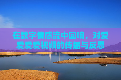 在数字情感流中回响，对爱爱爱爱视频的传播与反思