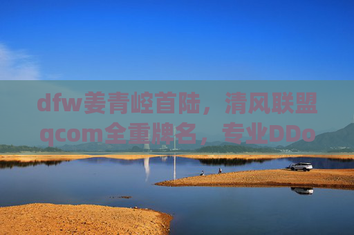 dfw姜青崆首陆，清风联盟qcom全重牌名，专业DDoS拦截服务，连系@qflianmeng