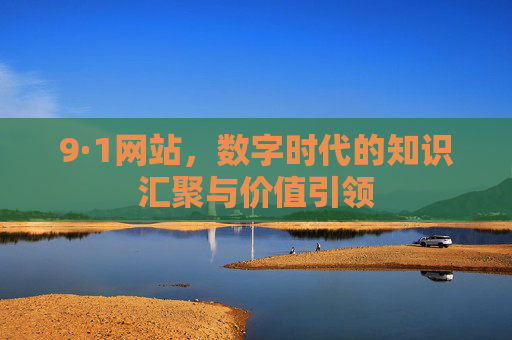 9·1网站，数字时代的知识汇聚与价值引领