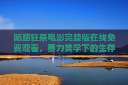陌路狂杀电影完整版在线免费观看,暴力美学下的生存博弈与极致刺激 陌路狂杀电影完整版在线免费观看,暴力美学下的生存博弈与极致刺激