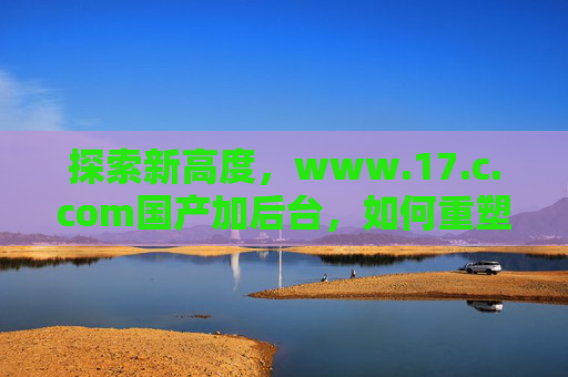 探索新高度，www.17.c.com国产加后台，如何重塑行业格局？