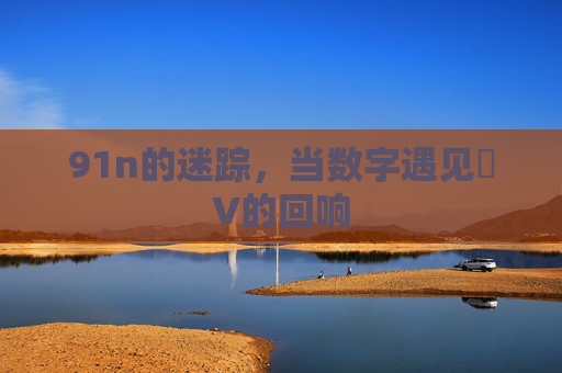 91n的迷踪,当数字遇见丅V的回响 91n的迷踪,当数字遇见丅V的回响