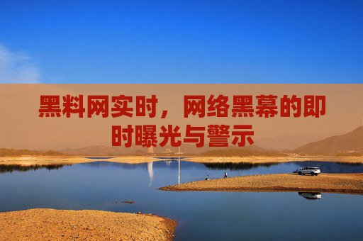 黑料网实时，网络黑幕的即时曝光与警示