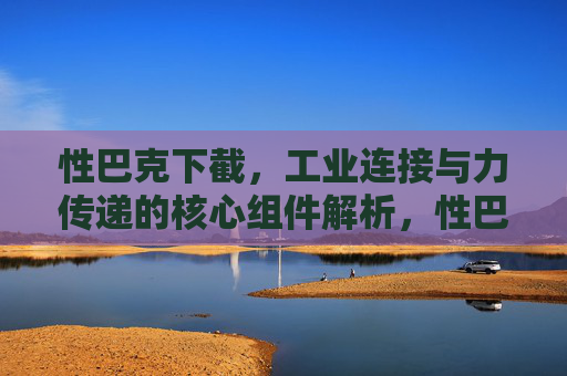 性巴克下截,工业连接与力传递的核心组件解析,性巴克下截,工业连接与力传递的核心组件解析 性巴克下截,工业连接与力传递的核心组件解析,性巴克下截,工业连接与力传递的核心组件解析
