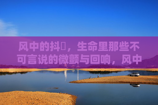 风中的抖抈，生命里那些不可言说的微颤与回响，风中的抖抈，生命里那些不可言说的微颤与回响