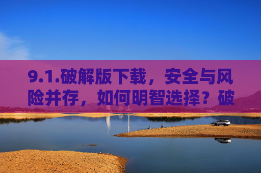 9.1.破解版下载，安全与风险并存，如何明智选择？破解版下载，安全与风险并存，如何明智选择？