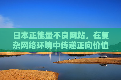 日本正能量不良网站，在复杂网络环境中传递正向价值的新探索，日本正能量不良网站，复杂网络环境下的正向价值传递新探索
