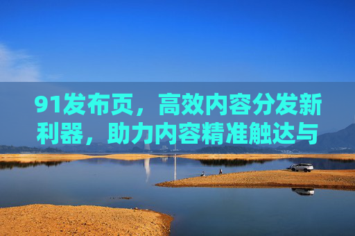 91发布页，高效内容分发新利器，助力内容精准触达与价值放大，91发布页，高效内容分发新利器，助力内容精准触达与价值放大