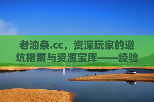 老油条.cc，资深玩家的避坑指南与资源宝库——经验分享与资源分享的老江湖聚集地，老油条.cc，资深玩家的避坑指南与资源宝库——经验分享与资源分享的老江湖聚集地