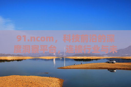 91.ncom，科技前沿的深度洞察平台，连接行业与未来的桥梁，91.ncom，科技前沿的深度洞察平台，连接行业与未来的桥梁