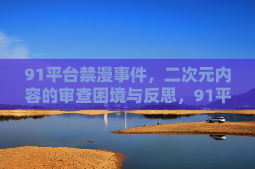 91平台禁漫事件，二次元内容的审查困境与反思，91平台禁漫事件，二次元内容的审查困境与反思