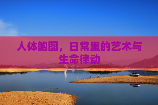人体鲍图,日常里的艺术与生命律动 人体鲍图,日常里的艺术与生命律动