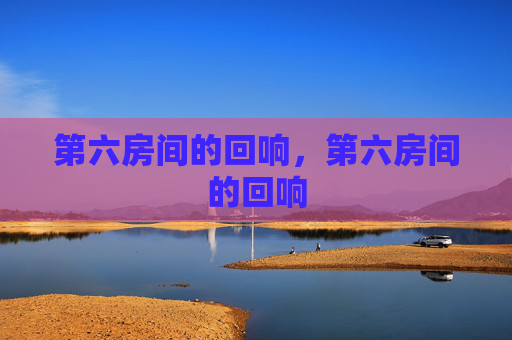 第六房间的回响，第六房间的回响