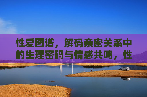 性爱图谱，解码亲密关系中的生理密码与情感共鸣，性爱图谱，解码亲密关系中的生理密码与情感共鸣