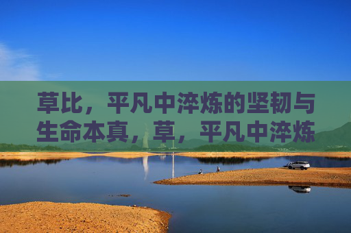 草比,平凡中淬炼的坚韧与生命本真,草,平凡中淬炼的坚韧与生命本真 草比,平凡中淬炼的坚韧与生命本真,草,平凡中淬炼的坚韧与生命本真