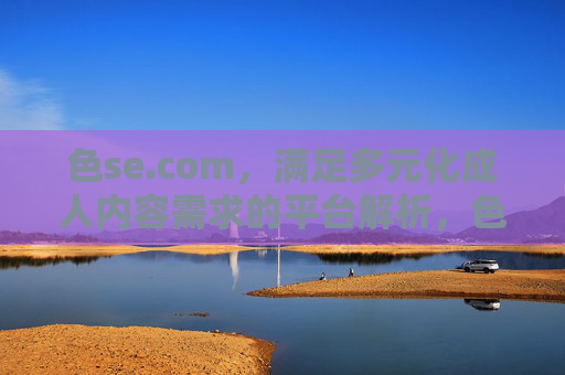 色se.com，满足多元化成人内容需求的平台解析，色se.com，满足多元化成人内容需求的平台解析