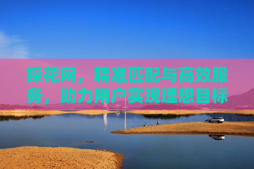 探花网，精准匹配与高效服务，助力用户实现理想目标，探花网，精准匹配与高效服务，助力用户实现理想目标