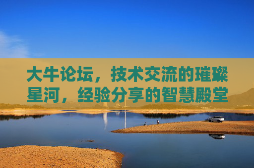 大牛论坛，技术交流的璀璨星河，经验分享的智慧殿堂