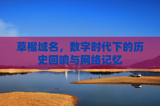 草榴域名,数字时代下的历史回响与网络记忆 草榴域名,数字时代下的历史回响与网络记忆