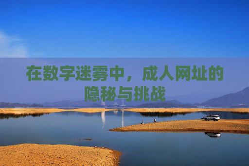 在数字迷雾中,成人网址的隐秘与挑战 在数字迷雾中,成人网址的隐秘与挑战