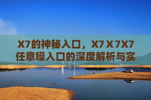 X7的神秘入口，X7Ⅹ7X7任意噪入口的深度解析与实战应用