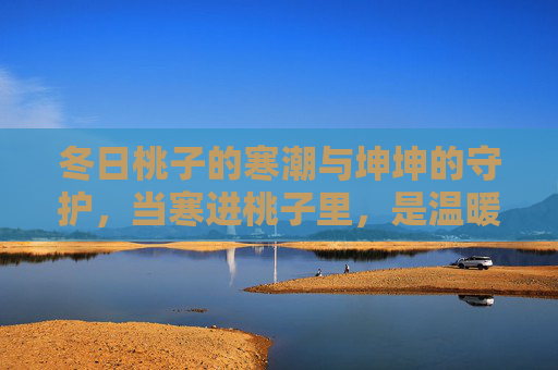 冬日桃子的寒潮与坤坤的守护,当寒进桃子里,是温暖在传递 冬日桃子的寒潮与坤坤的守护,当寒进桃子里,是温暖在传递