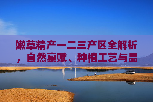 嫩草精产一二三产区全解析,自然禀赋、种植工艺与品质差异的深度剖析 嫩草精产一二三产区全解析,自然禀赋、种植工艺与品质差异的深度剖析