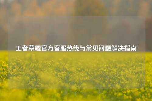 王者荣耀官方客服热线与常见问题解决指南