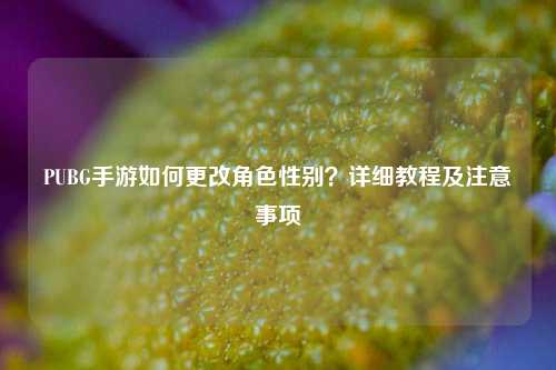 PUBG手游如何更改角色性别？详细教程及注意事项