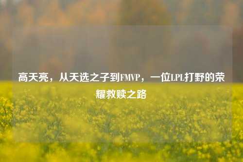 高天亮，从天选之子到FMVP，一位LPL打野的荣耀救赎之路
