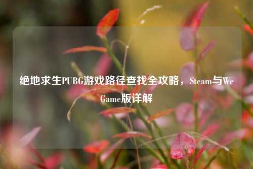 绝地求生PUBG游戏路径查找全攻略，Steam与WeGame版详解