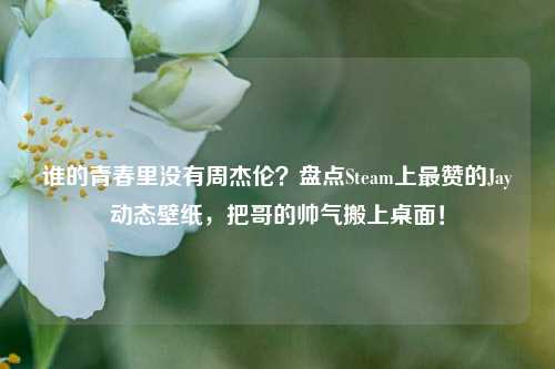 谁的青春里没有周杰伦？盘点Steam上最赞的Jay动态壁纸，把哥的帅气搬上桌面！