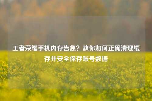 王者荣耀手机内存告急？教你如何正确清理缓存并安全保存账号数据