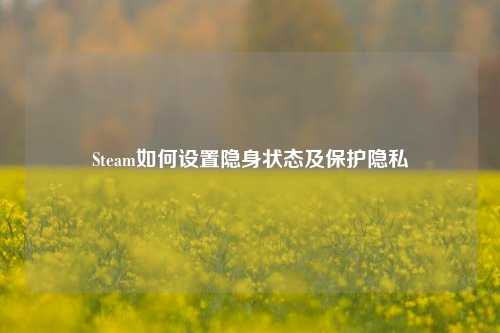 Steam如何设置隐身状态及保护隐私