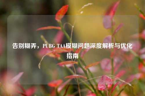 告别糊弄，PUBG TAA模糊问题深度解析与优化指南