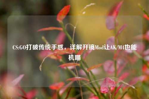 CS:GO打破传统手感，详解开镜Mod让AK/M4也能机瞄