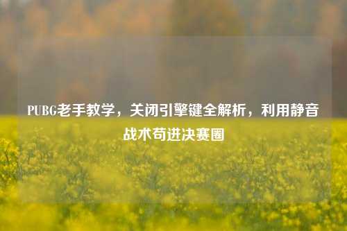PUBG老手教学，关闭引擎键全解析，利用静音战术苟进决赛圈