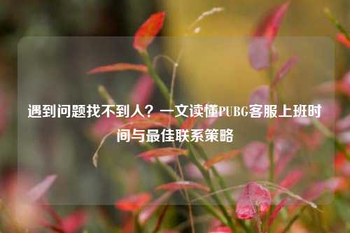 遇到问题找不到人？一文读懂PUBG客服上班时间与最佳联系策略