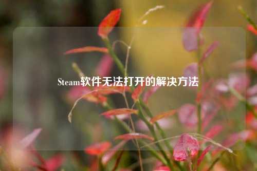 Steam软件无法打开的解决方法