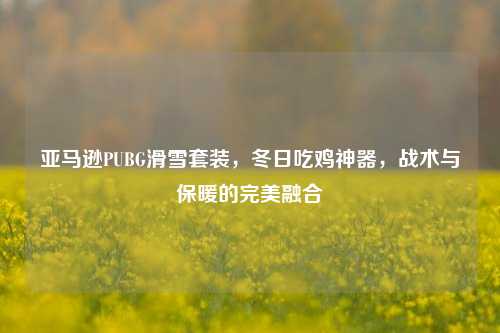 亚马逊PUBG滑雪套装，冬日吃鸡神器，战术与保暖的完美融合