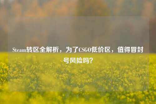Steam转区全解析，为了CSGO低价区，值得冒封号风险吗？