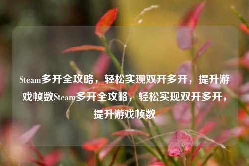 Steam多开全攻略，轻松实现双开多开，提升游戏帧数Steam多开全攻略，轻松实现双开多开，提升游戏帧数