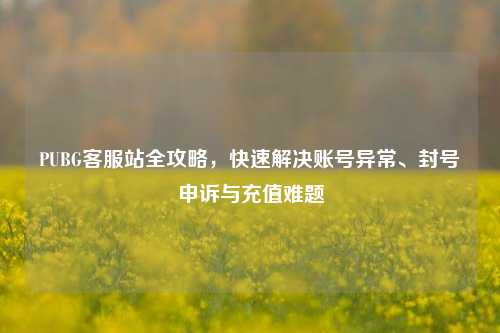 PUBG客服站全攻略，快速解决账号异常、封号申诉与充值难题