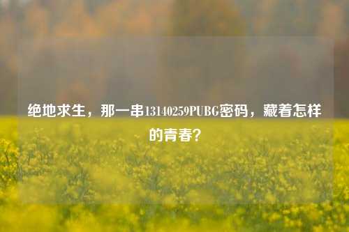 绝地求生，那一串13140259PUBG密码，藏着怎样的青春？