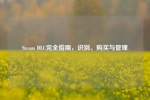 Steam DLC完全指南，识别、购买与管理
