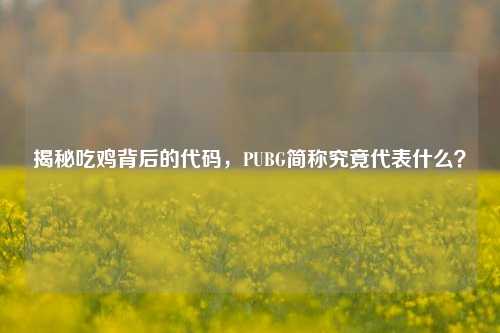 揭秘吃鸡背后的代码，PUBG简称究竟代表什么？