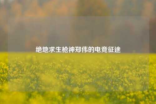 绝地求生枪神郑伟的电竞征途