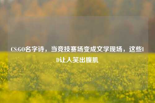 CS:GO名字诗，当竞技赛场变成文学现场，这些ID让人笑出腹肌