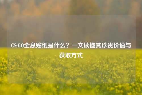 CS:GO全息贴纸是什么？一文读懂其珍贵价值与获取方式